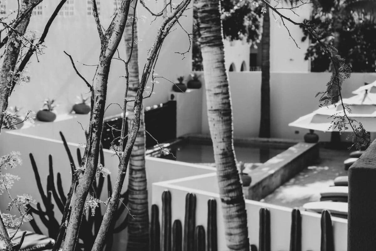 4 Charming Suite King Rooms In Luxurious Boutique Hotel San José del Cabo Kültér fotó